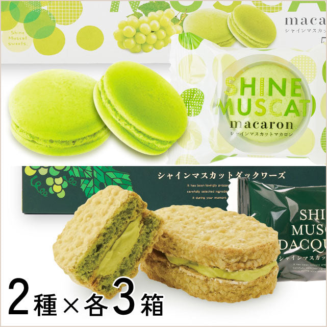 ＜シャインマスカット＞食感も楽しい焼き菓子【2種×各3箱】