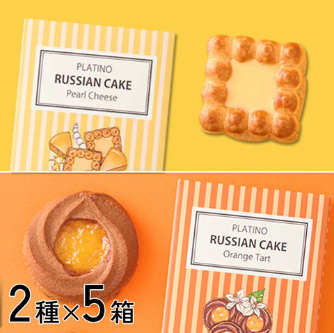 ＜サクっとしっとり!?＞魅力の焼き菓子 デコレーションクッキー【2種×5箱】