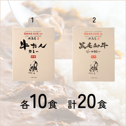 ＜但馬牛＞厳選2種の大満足カレー 各10食【20食】