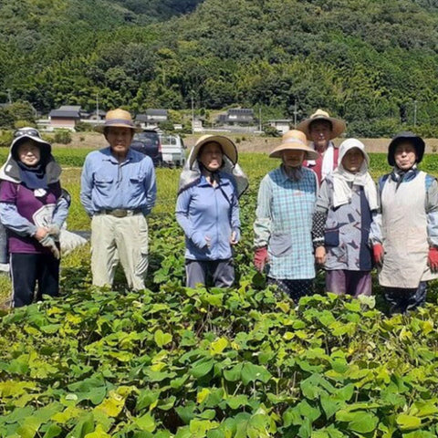 希少！＜有機栽培・紅はるか使用＞とろける甘さの安心干し芋【10袋】