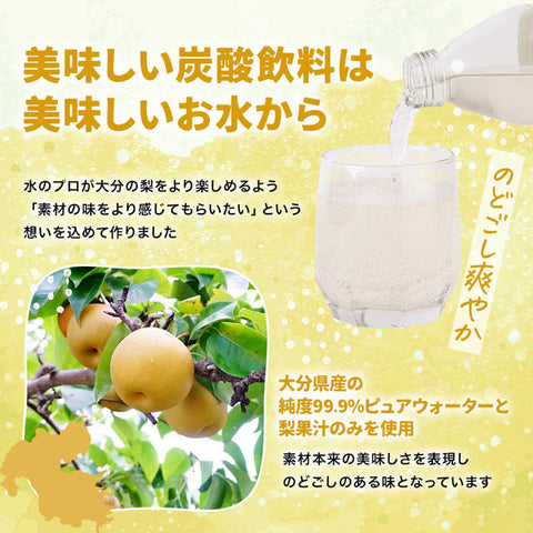 おっと大分しゅわっとサイダー250ml