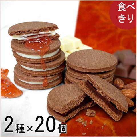 ＜贅沢すぎる！＞板チョコクッキー【2種×20個】