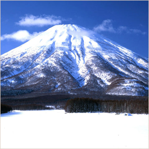 ＜北海道羊蹄山の恵み＞極上天然水で作った珈琲ゼリー（フレッシュ・シロップ付き）【20個・50個・120個】