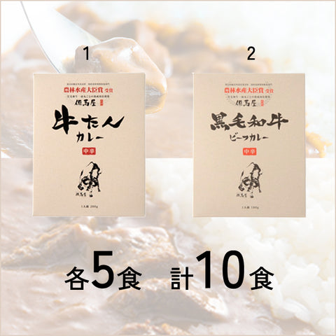 ＜但馬牛＞厳選2種の大満足カレー 各5食【10食】
