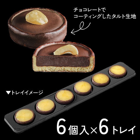 ＜贅沢プチスイーツ＞タルトパッション　チョコレートプラリネ【36個】冷凍送料無料