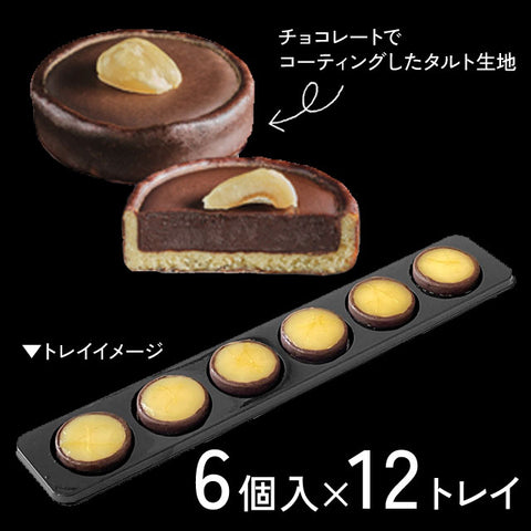 ＜贅沢プチスイーツ＞タルトパッション　チョコレートプラリネ【72個】冷凍送料無料