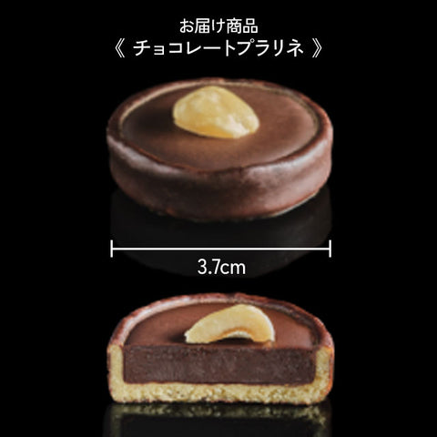 ＜贅沢プチスイーツ＞タルトパッション　チョコレートプラリネ【36個】冷凍送料無料