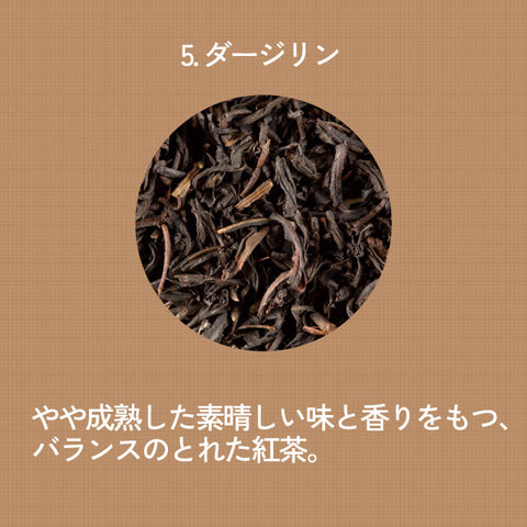 ＜フランス＞300年の伝統を守る最高級紅茶5種【24包入×5種各1箱】