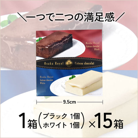 ＜2色の贅沢スイーツ＞カカオ香る濃厚ガトーショコラ2種入【15箱】