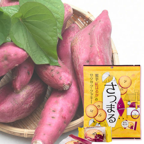 ＜紅はるか＞さくさく蜜芋クッキー【9枚入×48袋】