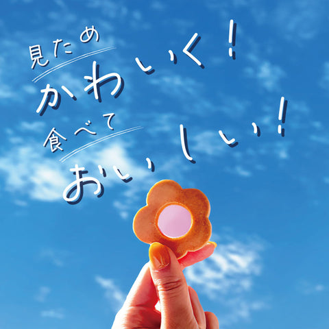 緊急入荷！＜さくパリ食感＞大阪あめちゃんクッキー8個入【10箱】