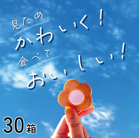 緊急入荷！＜さくパリ食感＞大阪あめちゃんクッキー8個入【30箱】