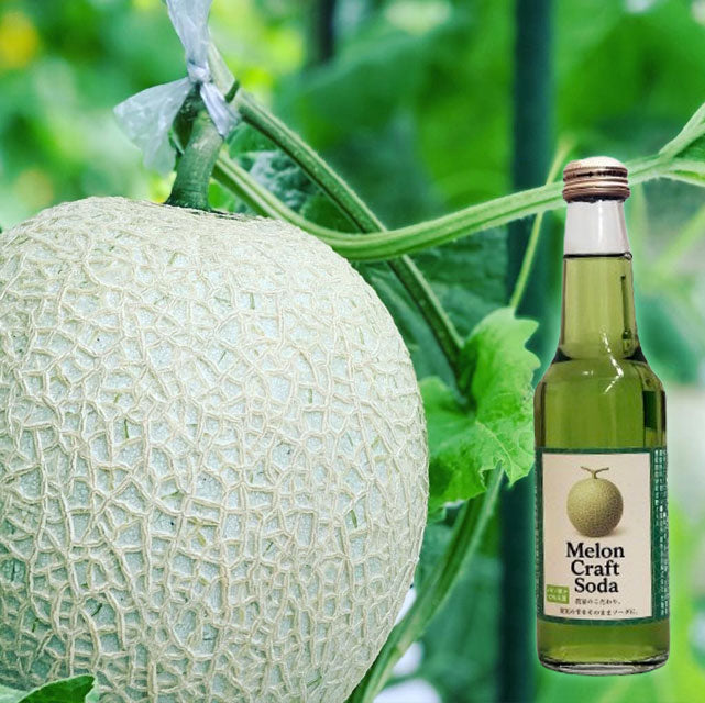 ＜贅沢フレッシュ＞メロン農家が本気で作ったメロンクラフトソーダ【48本・24本】メーカー直送