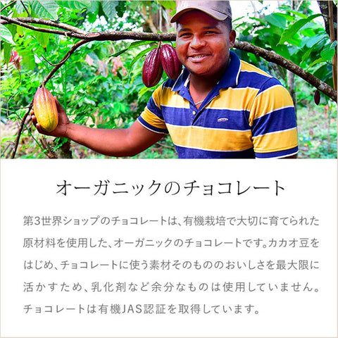 ＜オーガニック＞添加物不使用フェアトレードチョコ【3種×各6枚】クリックポスト送料無料
