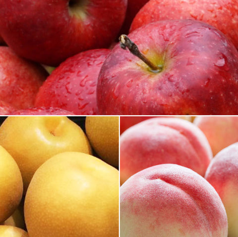 ＜しっとり果実＞蜜漬けドライフルーツ【3種×4袋】