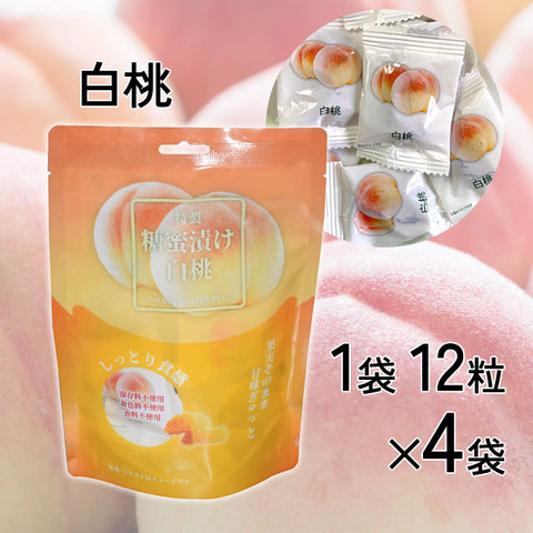 ＜しっとり果実＞蜜漬けドライフルーツ【3種×4袋】