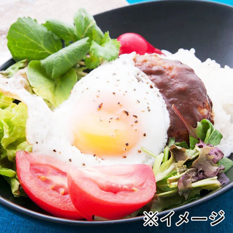 ★3個増量中★＜手軽に絶品！＞チーズインデミソースハンバーグ15個【12個+3個】