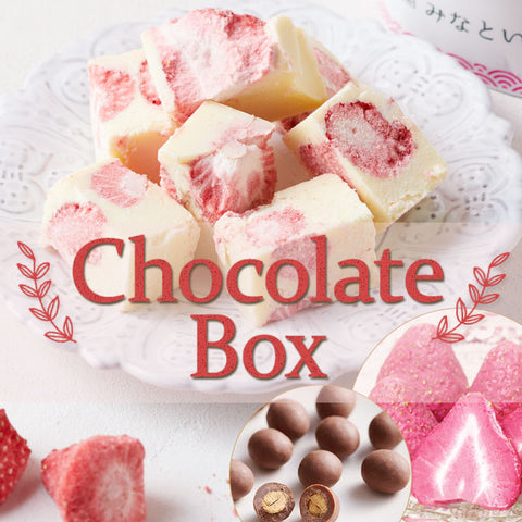 ＜超こだわり厳選＞特別チョコづくしBOX【冷蔵送料無料】