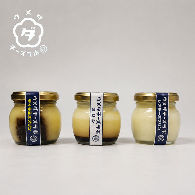 緊急販売！＜大阪チーズスイーツ専門店発＞3種のプリン