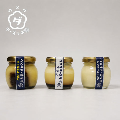 緊急販売！＜大阪チーズスイーツ専門店発＞3種のプリン
